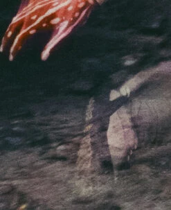 Keen Women's Jasper Rocks Sneaker X Hiking Patrol | Cuban Beige -Keen KEEN W 1028832 HikingPatrolxJasperRocks Lifestyle PDP Single Left