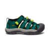 Keen Little Kids' Newport H2 | Aventurine/Evening Primrose